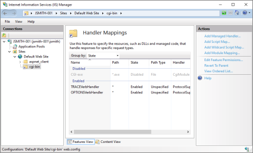 The Handler Mapping options.